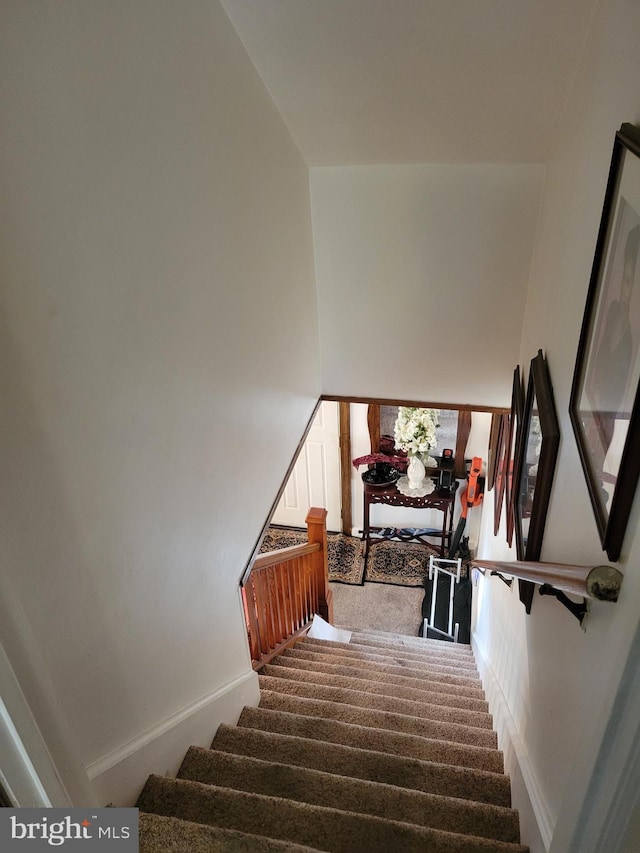 stairway featuring a high ceiling and carpet floors