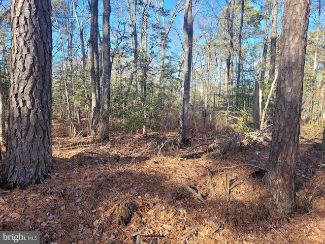 LOT21 Orange Dr, Hague VA, 22469 land for sale