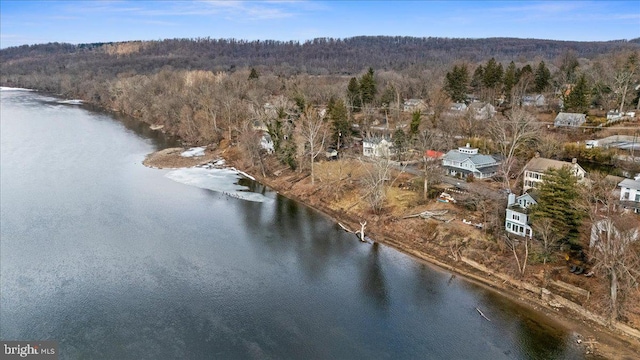 birds eye view of property with a forest view and a water view