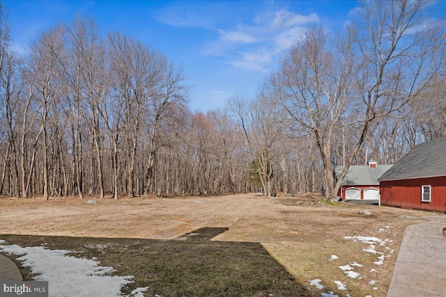 view of yard featuring driveway and a detached garage