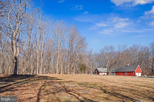 view of yard with driveway and a detached garage