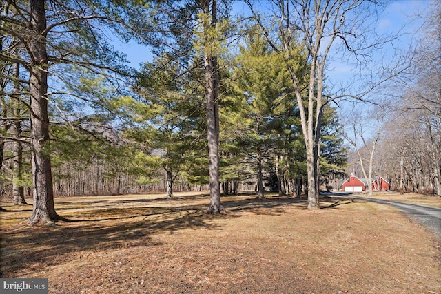 view of yard featuring driveway