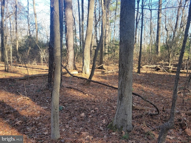 LOT13 Holiday Ln, Hague VA, 22469 land for sale