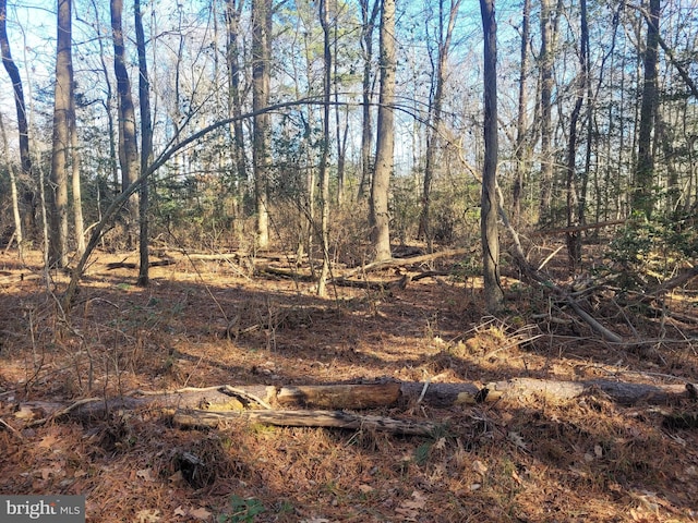 Listing photo 2 for LOT13 Holiday Ln, Hague VA 22469