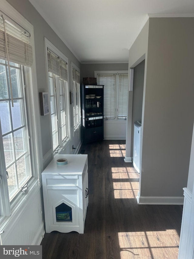 kitchen featuring baseboards, ornamental molding, dark wood-type flooring, light countertops, and white cabinetry