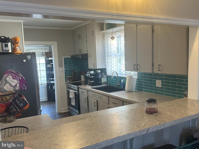 kitchen with a wealth of natural light, appliances with stainless steel finishes, a sink, and ornamental molding