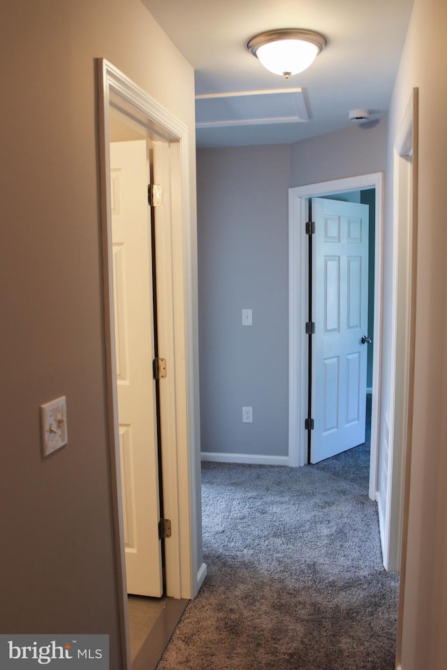 corridor with carpet