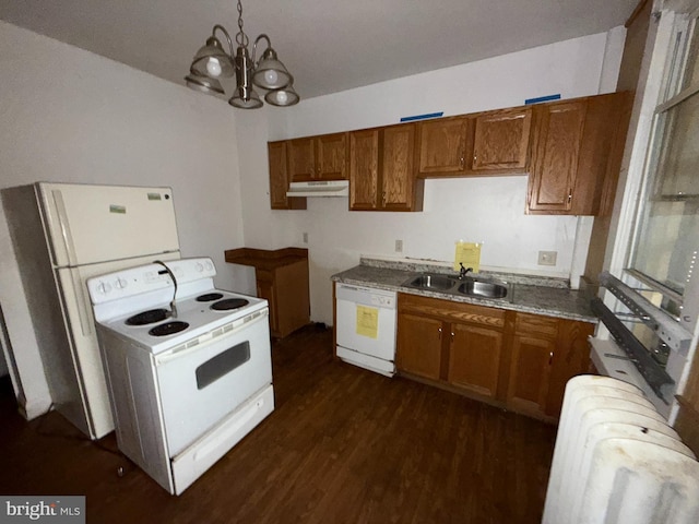 kitchen featuring pendant lighting, sink, white appliances, dark wood-type flooring, and radiator heating unit