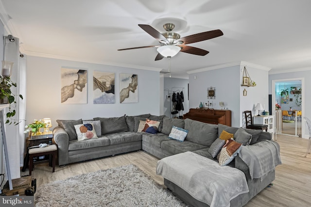 living area with crown molding, ceiling fan, and light wood-style floors