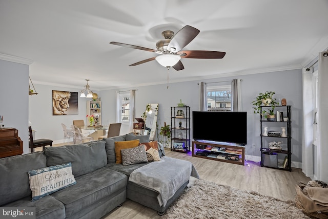 living area featuring a wealth of natural light, ornamental molding, light wood-style flooring, and baseboards