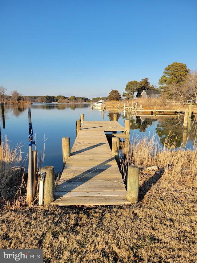 dock area with a water view