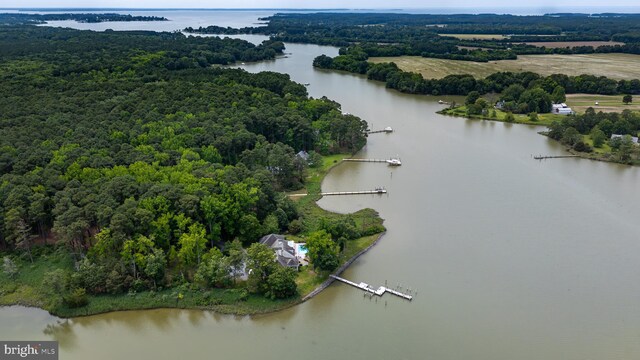 26372 Westerly Rd, Easton, MD 21601 - bird's eye view of a large body of water and a forest