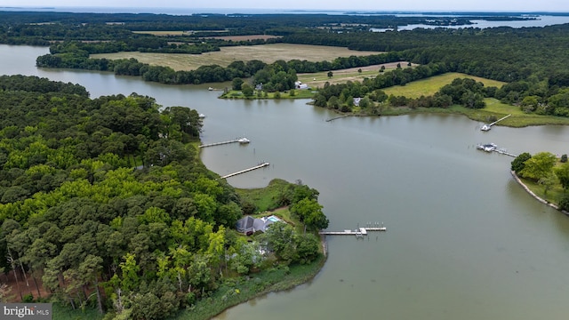 26372 Westerly Rd, Easton, MD 21601 - bird's eye view of a nearby body of water and a forest