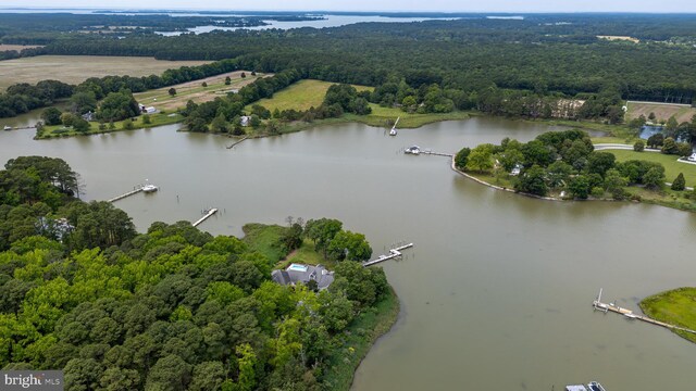 26372 Westerly Rd, Easton, MD 21601 - drone / aerial view of a large body of water and a heavily wooded area
