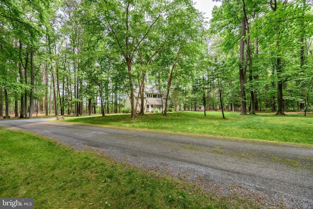 26372 Westerly Rd, Easton, MD 21601 - view of dirt / gravel road featuring a view of trees