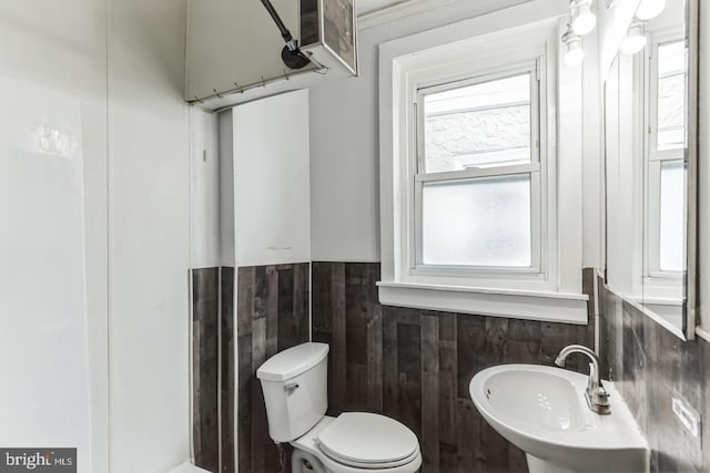 bathroom featuring a healthy amount of sunlight, toilet, and sink