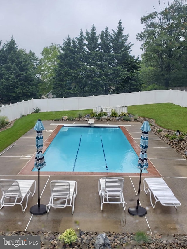 view of swimming pool with a diving board, a yard, and a patio area