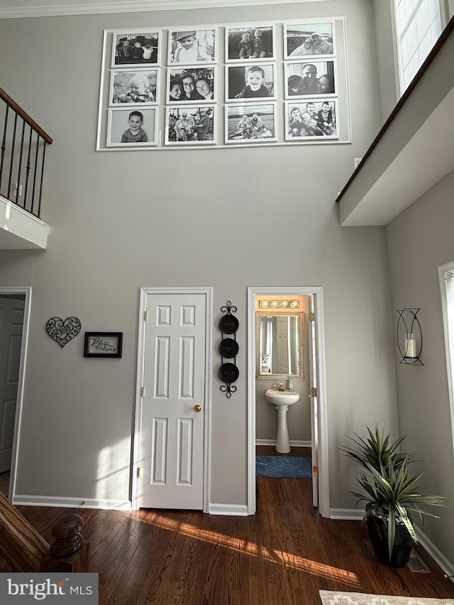 interior space with dark hardwood / wood-style flooring and a towering ceiling