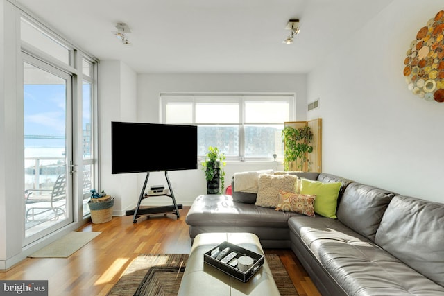 living room with light hardwood / wood-style floors and rail lighting