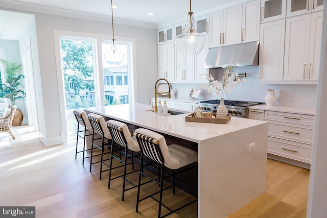 kitchen featuring under cabinet range hood, an island with sink, light wood-style flooring, and a sink