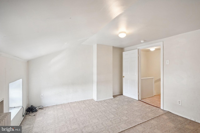 additional living space with light carpet