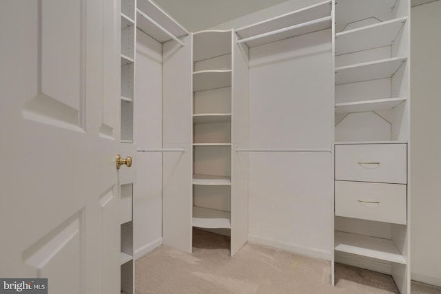 walk in closet featuring light carpet