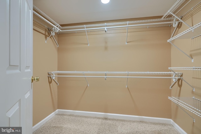 view of walk in closet