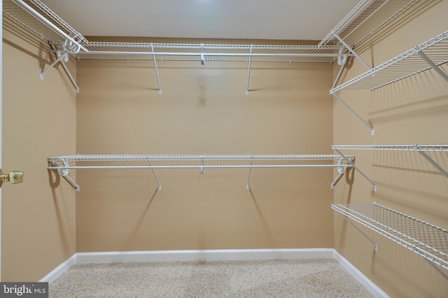 view of walk in closet