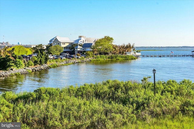 property view of water