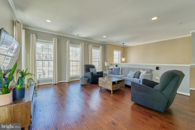 living room featuring ornamental molding and dark hardwood / wood-style floors