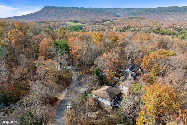 drone / aerial view with a mountain view