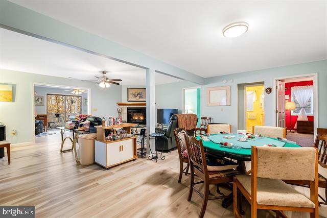 dining room featuring light hardwood / wood-style flooring and ceiling fan