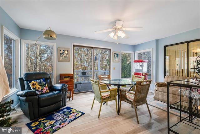 dining space with ceiling fan and light hardwood / wood-style flooring