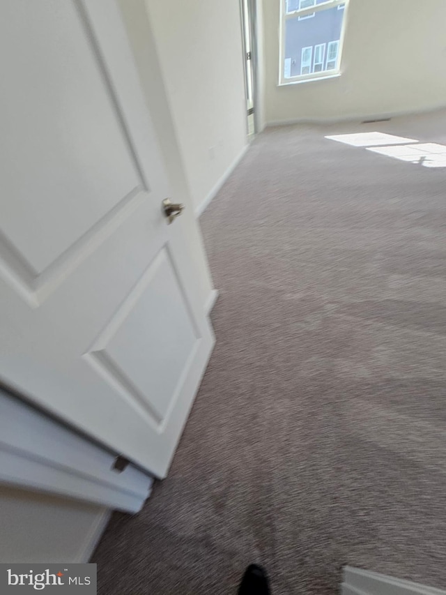 corridor with carpet floors