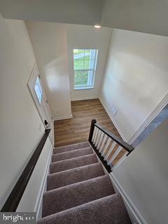 stairway featuring hardwood / wood-style flooring