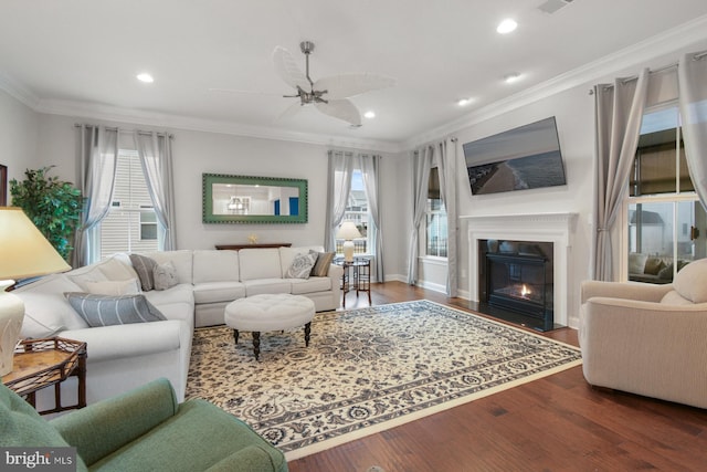 living room featuring crown molding, ceiling fan, a healthy amount of sunlight, and hardwood / wood-style flooring