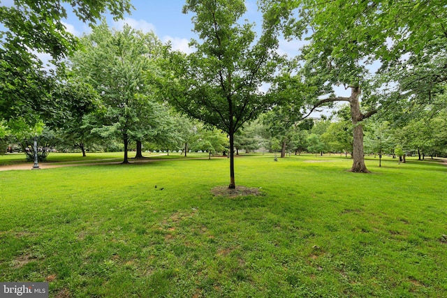 414 3rd St SE, Washington, DC 20003