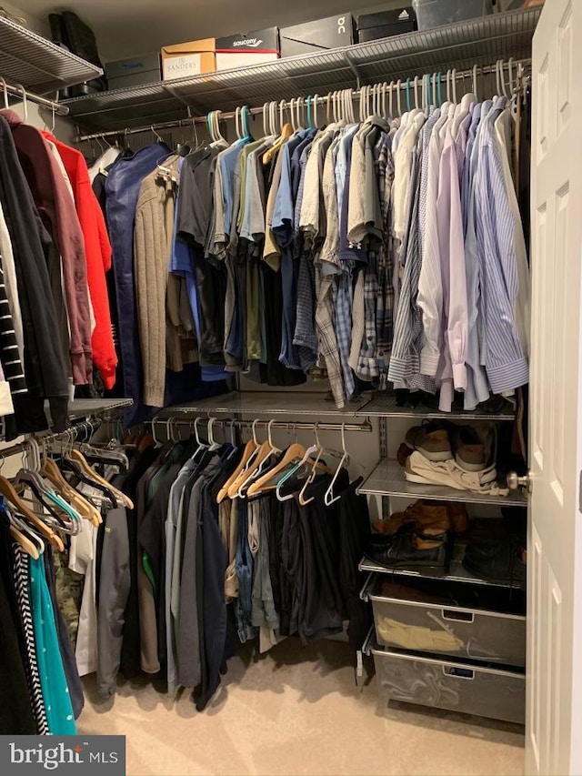 view of walk in closet