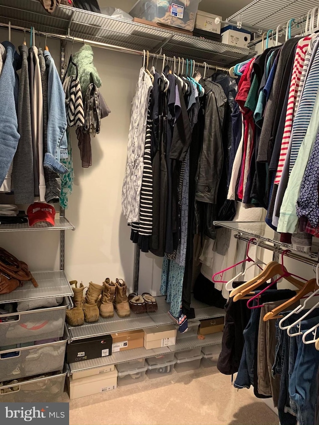 walk in closet with carpet flooring