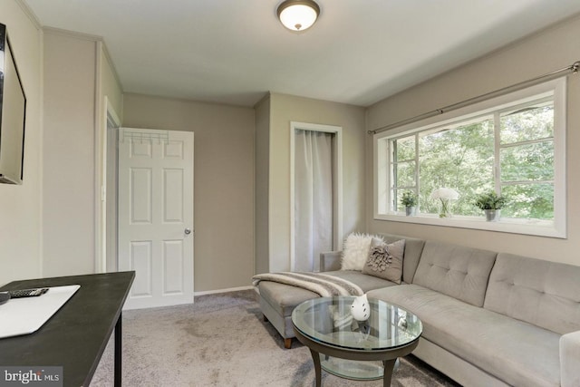 view of carpeted living room