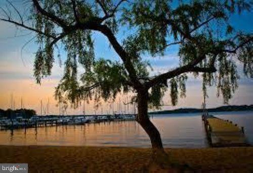 1165 Green Holly Ct, Annapolis, MD 21409 - water view