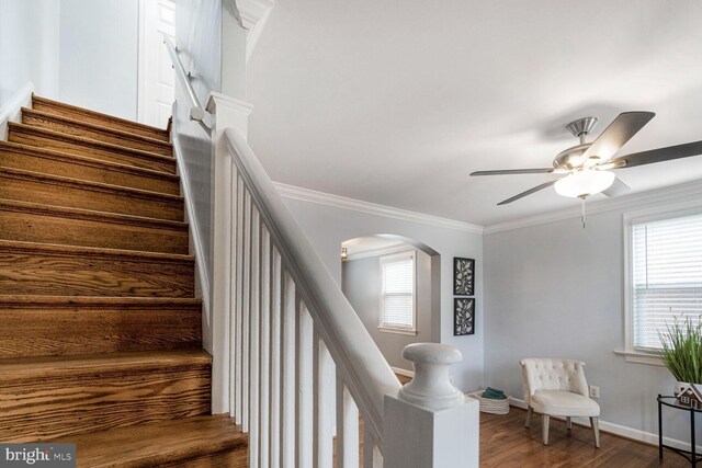 stairs featuring arched walkways, ornamental molding, plenty of natural light, and wood finished floors