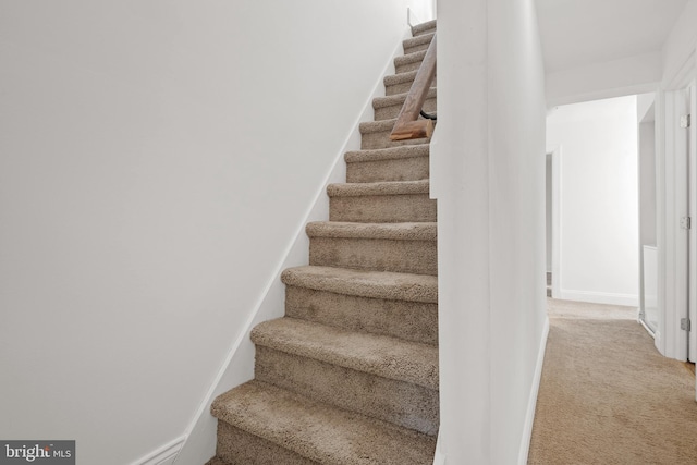 stairs with carpet floors