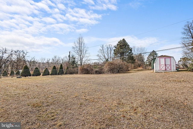 view of yard with a storage unit