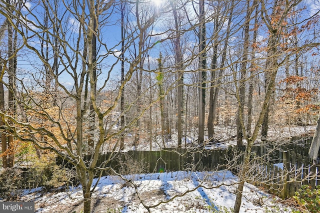 view of snowy view