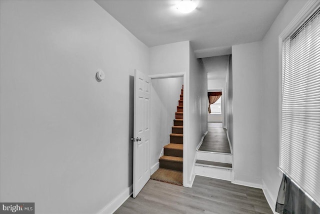 staircase with baseboards and wood finished floors