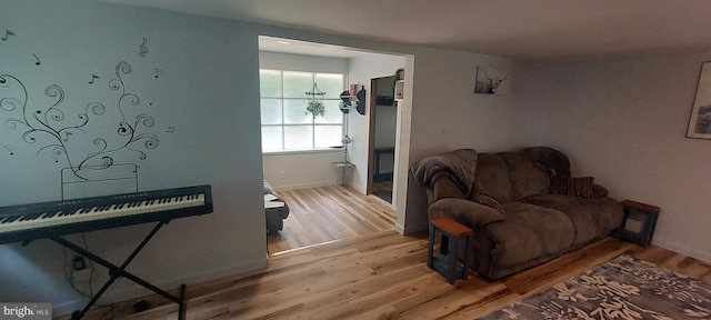 living room with wood-type flooring