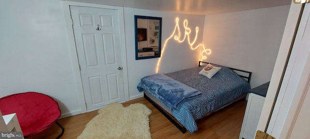 bedroom featuring wood-type flooring