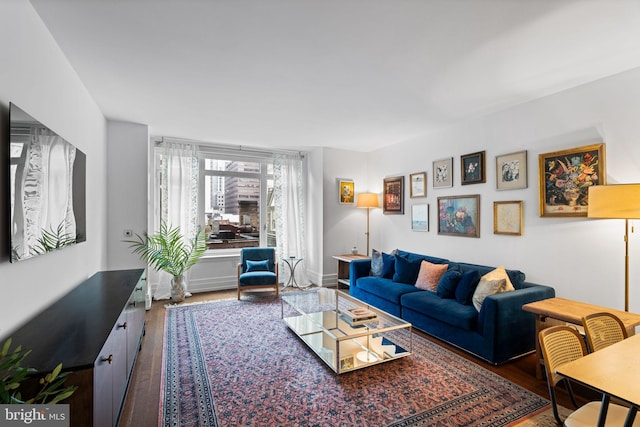 living room featuring hardwood / wood-style floors