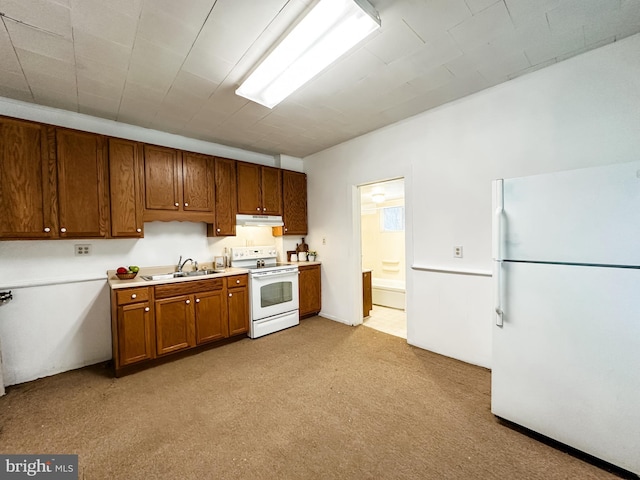 kitchen featuring light carpet, sink, and white appliances